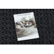 Ruitenwisser anti slip DUNLOP 0900 antraciet - intern, extern op een rubber