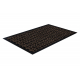 Ruitenwisser anti slip DUNLOP 7764 bruin - intern, extern op een rubber
