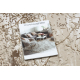 Vaip ALLURE 5716 Kivi – struktuurne, stiilne, glamuurne beež