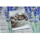 ANDRE 2716 washing carpet Lavender anti-slip - grey / violet