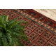 Tapis de couloir KASHQAI 4301/300 oriental, cadre terre cuite / vert