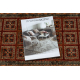 Tapis de couloir KASHQAI 4301/300 oriental, cadre terre cuite / vert