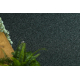 Fitted carpet SUPERSTAR 470