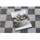 Tappeto AURA EB112 grigio - Scacchiera, strutturale, moderno
