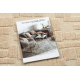 Moquette en laine FLUX 461.133.SA132 OSTA - Géométrique, structurelle, loft crème / beige