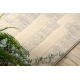 Tapis en laine TEXTURA 488.17.LA101 OSTA - Géométrique structurel gris / crème