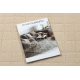 Tapis en laine TEXTURA 488.02.LA100 OSTA - Lignes, cadre géométrique structurel crème