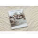 DUNE 8058 SHAPE tæppe creme – Bagagerum, struktur, uregelmæssig form