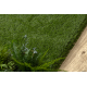 ARTIFICIAL GRASS KYRA roll
