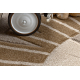 Tapis KIDDO 4424 beige / crème, lion animaux de la savane pour enfants, sensoriel 
