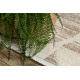 Tapis FROJE 1773 Géométrique – Style scandinave, texturé, moderne crème / beige