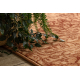 Wool carpet KASHQAI 4341 100 oriental, ornament, vintage salmon color / claret