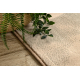 Villa matto OMEGA CALIMA vihreä / beige