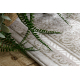 Килим SAMPLE MELIS 52651 Каркас, oрнамент крем / бежевий