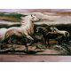 Carpet TAPESTRY - HORSES olive