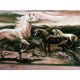 Teppich WANDTEPPICH - PFERDE olive