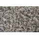 Carpet - Wall-to-wall XANADU 303 cream gray