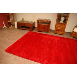 Carpet SHAGGY design 100 bordo