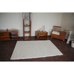 Carpet SHAGGY design 100 K