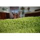 Teppich rund SHAGGY 5cm grün
