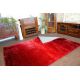Carpet SHAGGY RAINBOW red