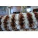 Carpet SHAGGY SYMFONIA 108 brown