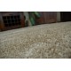 Tapis SHAGGY NARIN P901 Beige foncé