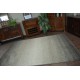 Carpet SHADOW 8621 light beige / brown