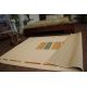 Tapis LINEATIONS couleur 980