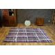 Shadow szőnyeg 9359 lila / fehér