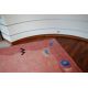 Carpet wall-to-wall DELIGHT silver