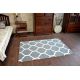 Teppich BCF FLASH 33445/167 trellis