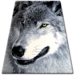 Bcf flash szőnyeg 33303/150