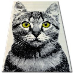 Matta BCF FLASH 33319/160 - Cat