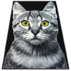 Tapis BCF FLASH 33319/190 - Chat