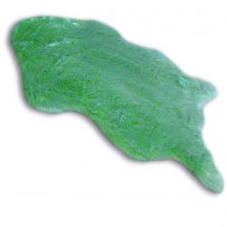 Koberec SKIN 60x90 cm DOLLY, zelený, imitace kožešiny